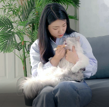 Load image into Gallery viewer, HIBOS-Cat Toothbrush & Toothpaste (Chika-pen)