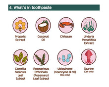 Load image into Gallery viewer, HIBOS-Cat Toothbrush & Toothpaste (Chika-pen)